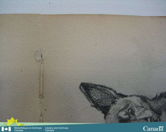 Colour photograph showing the inside of a folio; the glue drop is clearly visible with the corresponding impression on the other page.