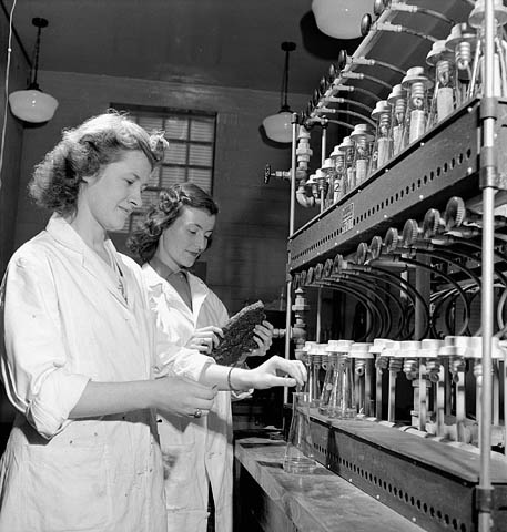 Black and white photograph showing two female laboratory technicians dressed in white lab coats. The one in the foreground is stirring a solution in a test tube, while the one in the background is holding a piece of synthetic rubber in her hands and looking at it. 