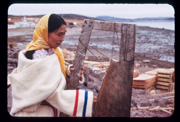 Color photograph of an Inuit woman wearing a white wool parka and a yellow headscarf, stretching sealskin on a wooden frame near a shoreline. 
