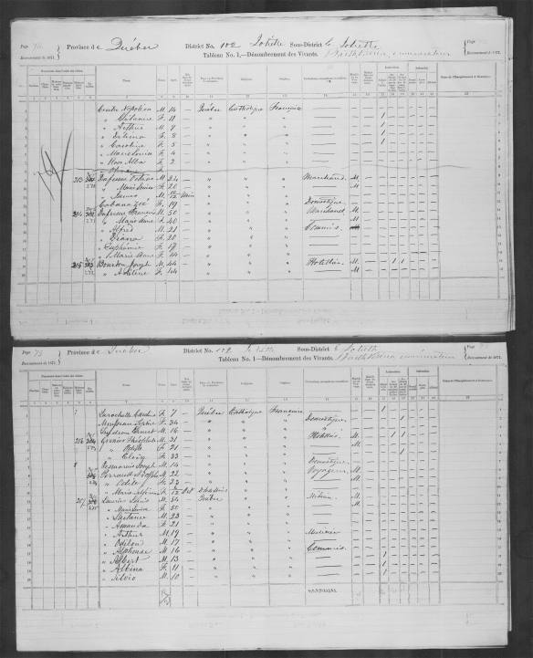 Census chart titled “Tableau No. 1—Dénombrement des Vivants (Schedule No. 1—Nominal Return of the Living)” with handwritten entries for each of the columns. Columns include name, age, gender, birthplace, origins, religion, profession, education, marital status and disabilities. Each row is a separate household.
