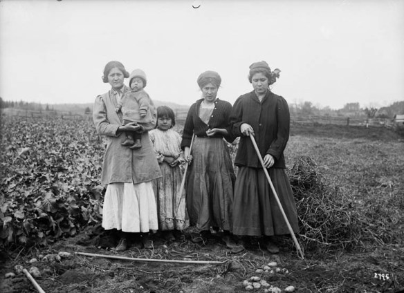 A black-and-white photograph of three women ad two children standing in a potato field. 
