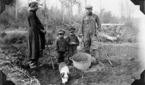 A black-and-white photo of a pregnant woman, two children and a man harvesting potatoes.