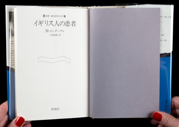 Colour photograph of a book open at the title page written in Japanese.