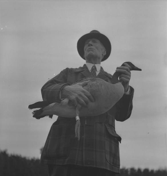 A black-and-white photograph of a man supporting a Canada Goose under his right arm and holding its neck with his left hand. The goose’s right leg has an identification band around it
