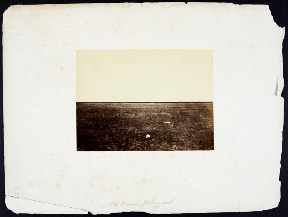 Sepia-toned image of prairie grass stretching to meet the sky with a skull and a bone in the foreground.