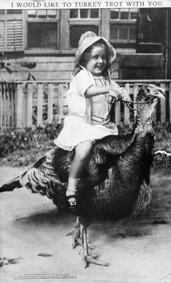 A black-and-white photograph of a young girl sitting on top of a bridled male turkey.  