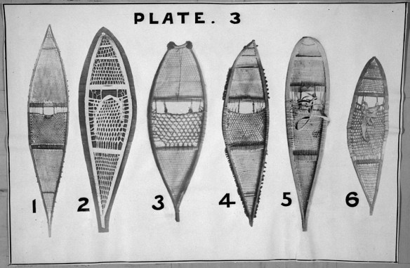 A black-and-white photograph showing six kinds of long snowshoes made with various materials and styles of webbing. 