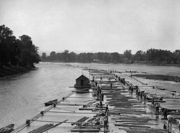 A black-and-white photograph of a log drive going down a river.