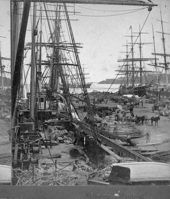 A black-and-white photograph of moored sailing cargo ships. Various types of cargo are stacked on the wharf and transported away by horse-drawn wagons. 