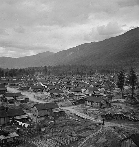 A black-and-white photograph of rows of internment camp dwellings.