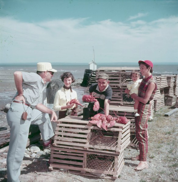 A colour photograph of two men, two women and a child around lobster traps as they look at some lobsters. 