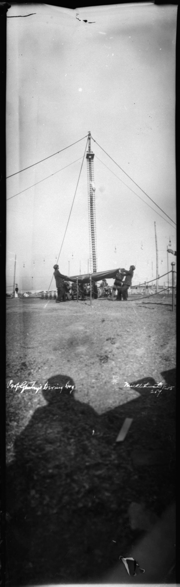 A black-and-white photograph of a circus dog jumping from a platform on a tall pole. Four men below hold a large blanket to catch the falling dog.