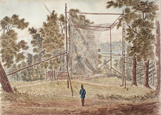 A watercolour painting of large nets set up in the woods to catch passenger pigeons.