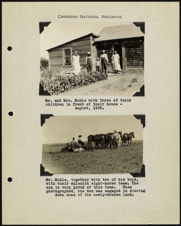Page from an album with two black and white photographs; one showing a family standing in front of a house and the other showing a team of horses pulling a plough. Photos are captioned with typed text.