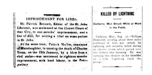 Alt text: Two columns of text from newspapers, with the headings “Imprisonment for Libel” and “Killed by Lightning.”