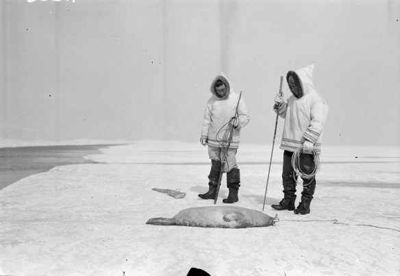 A black-and-white photo of Inuuk standing next to a seal on the ice.