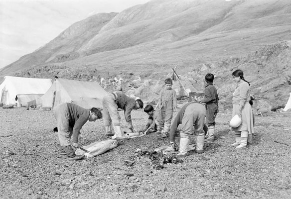 Black-and-white photo showing four adults and three children cutting up seals. They are on a rocky beach. Canvas tents are in the background. 