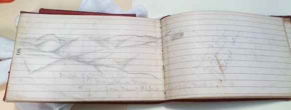 Photograph of a red leather notebook, open on page 98. The pages are lined and there is a pencil drawing of some mountains and three small flies. A note at the bottom reads, “Sketch of some of the Mountains seen from Mount Albert looking North.” To the right another note reads, “Unable to finish on account of the Black Flies.”