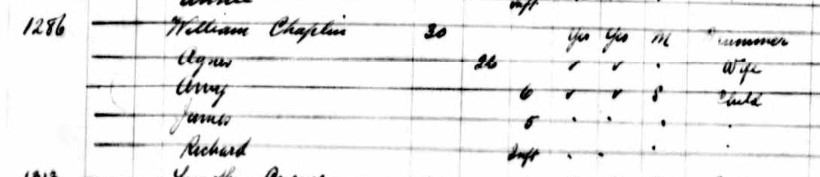 A close-up screenshot of the Chaplin family entry from a passenger list form.