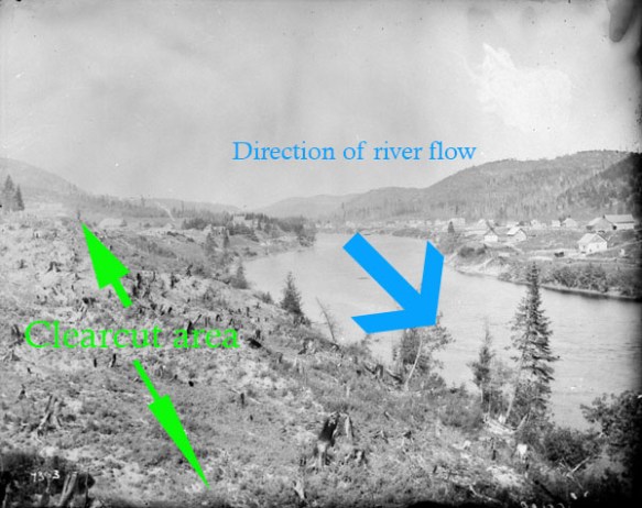 A river with tree stumps on the left side and homes on the right side.