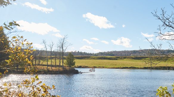 A recent photo of the slide area.