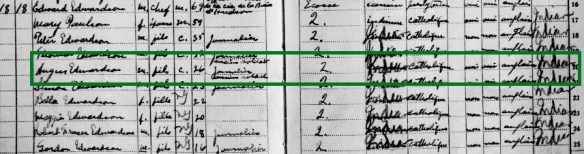List of names, ages and genders from the 1921 Census.