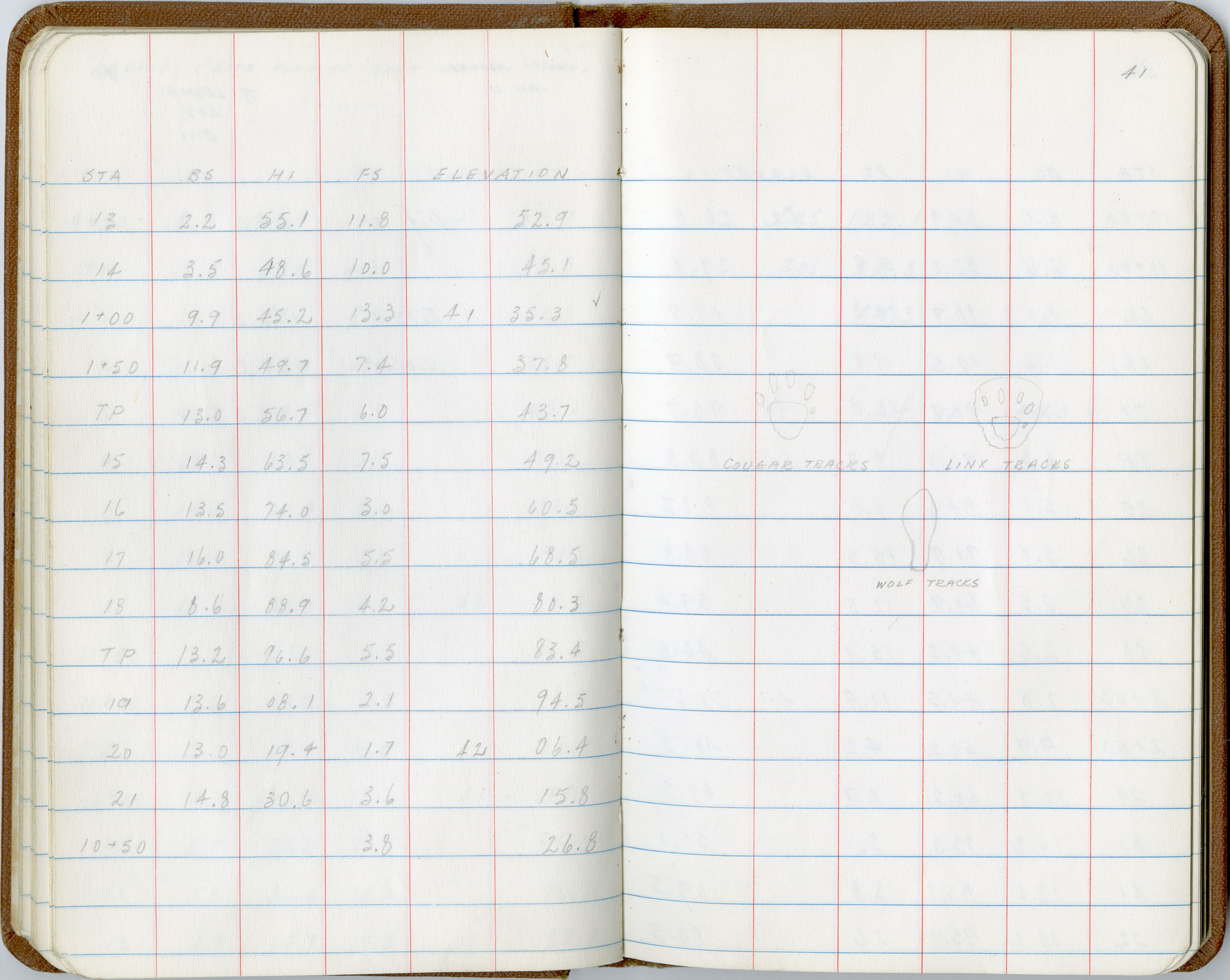 Page with a drawing of animal tracks.